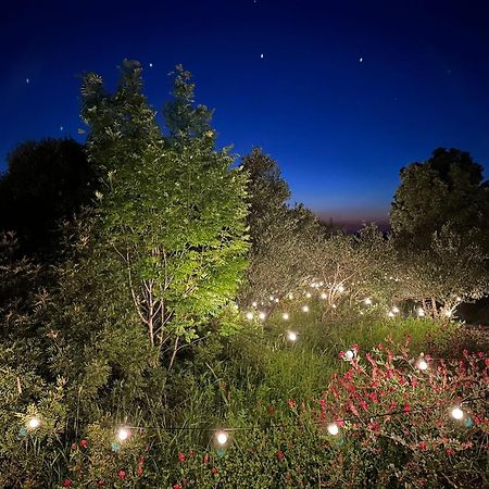 Hotel Glamping San Bart San Vincenzo Exterior foto